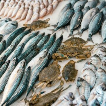 Salvador sedia Festival Sabores do Pescado 2025 a partir deste domingo (7)