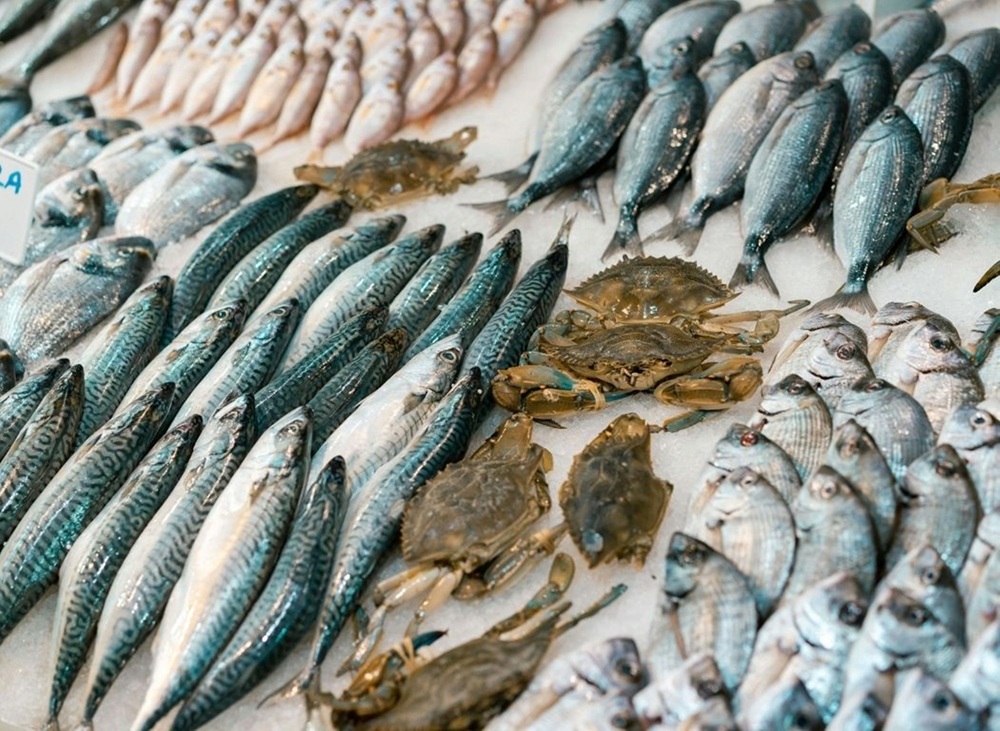 Salvador sedia Festival Sabores do Pescado 2025 a partir deste domingo (7)