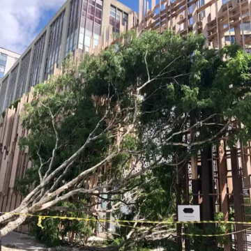 Ventania deixa mais de 2 milhões de imóveis sem luz na Grande SP; voos são cancelados e parques fecham