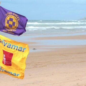 Aumento de queimaduras por caravelas-portuguesas acende alerta nas praias de Salvador