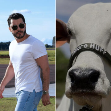 Murilo Huff brinca após comprar vaca mais cara do mundo: “Não paguei no Pix”