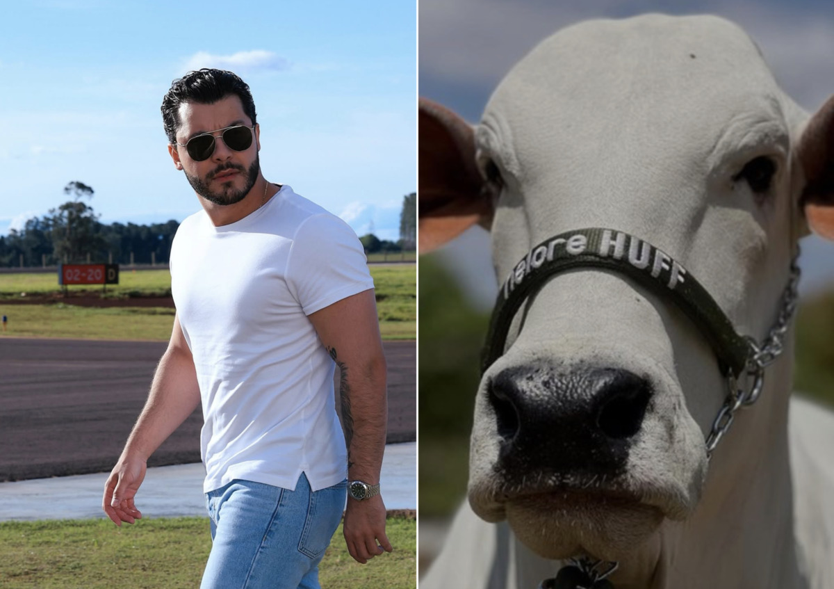 Murilo Huff brinca após comprar vaca mais cara do mundo: “Não paguei no Pix”
