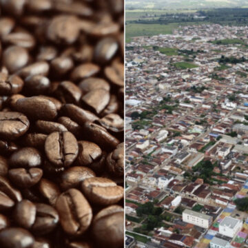 Município baiano pode ser reconhecido como capital do café arábica