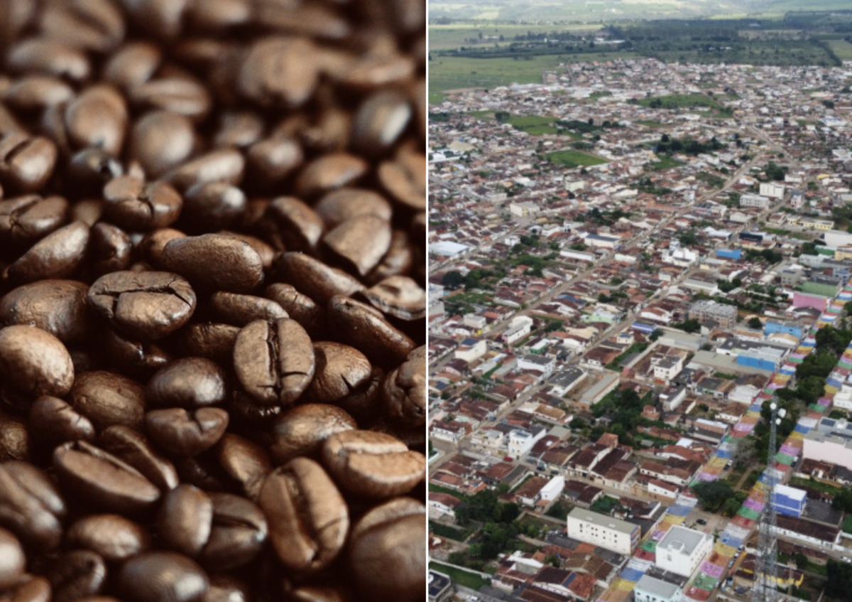 Município baiano pode ser reconhecido como capital do café arábica