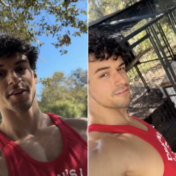 Filho de Carla Perez e Xanddy faz ajustes na roça que tem em casa e mostra resultado; veja