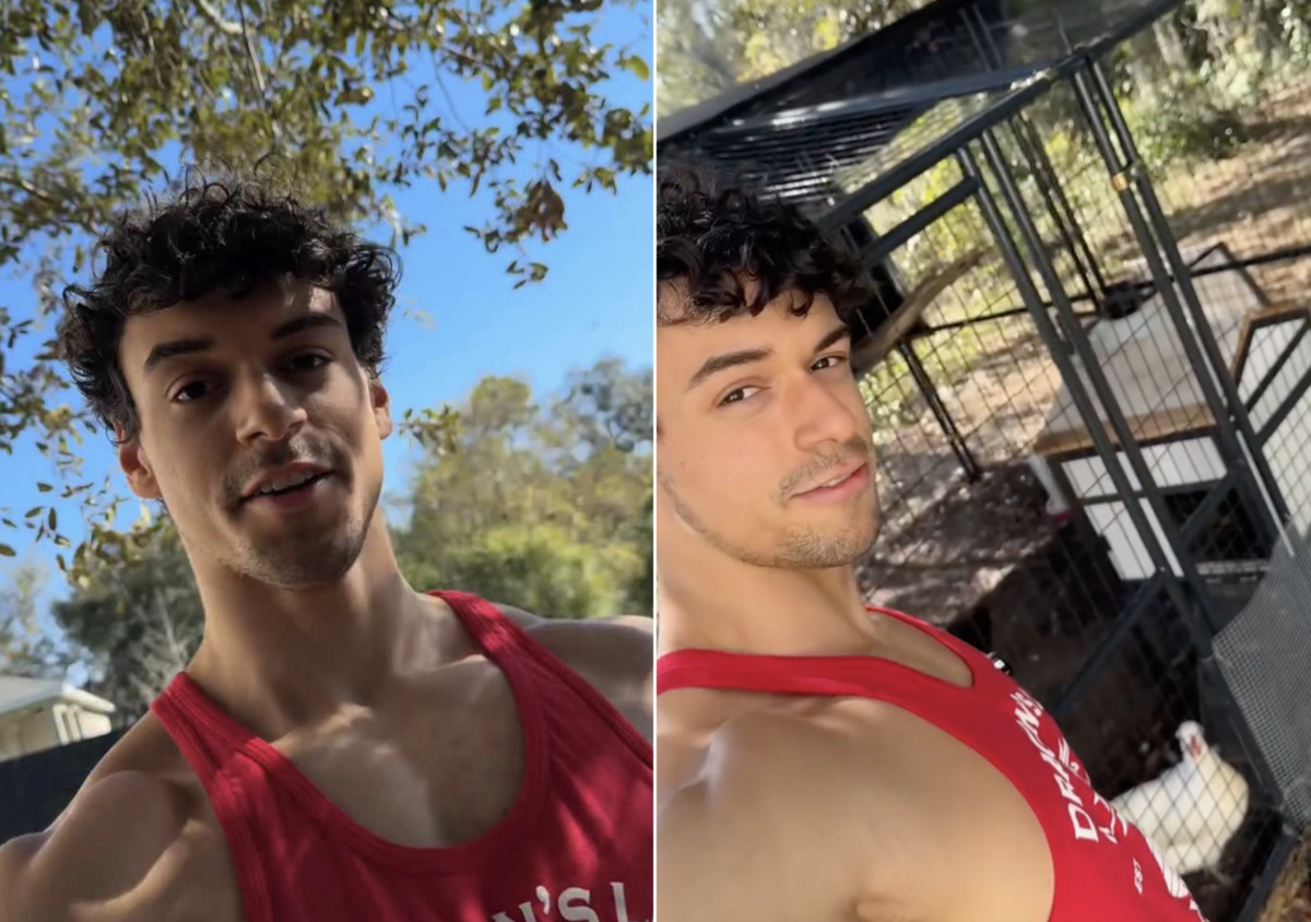 Filho de Carla Perez e Xanddy faz ajustes na roça que tem em casa e mostra resultado; veja