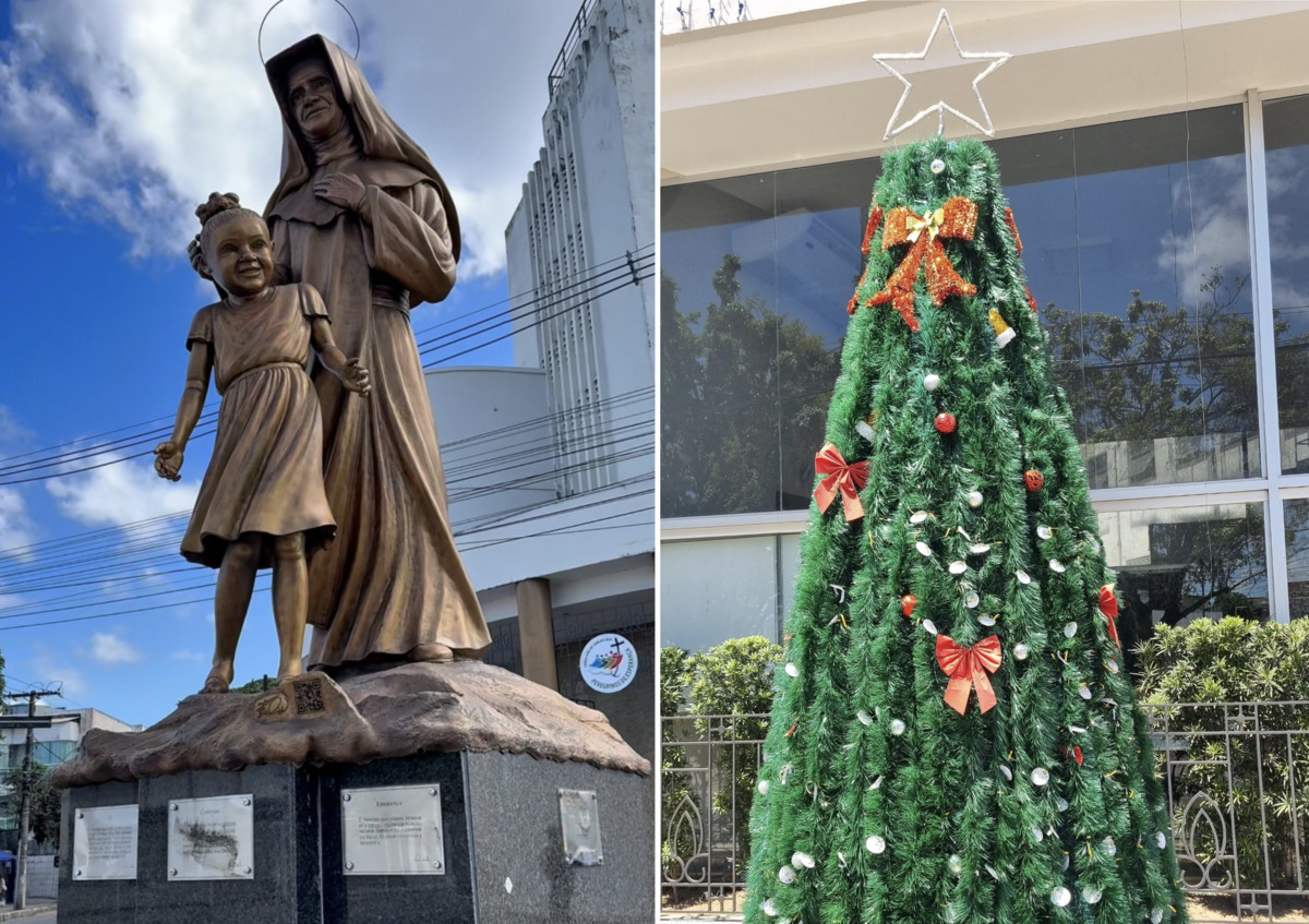 Árvore do Amor: Santuário Santa Dulce dos Pobres promove ação especial de Natal