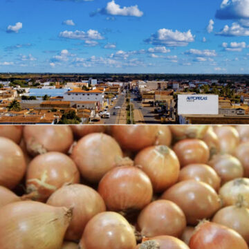 Cidade baiana pode ser reconhecida como ‘Capital da Cebola’; saiba mais