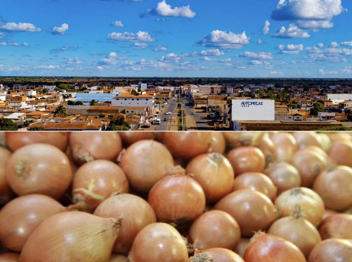 Cidade baiana pode ser reconhecida como ‘Capital da Cebola’; saiba mais