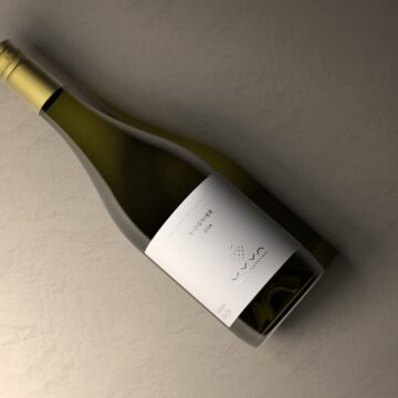 UVVA lança Viognier 2024 e inaugura novo terroir na Chapada Diamantina