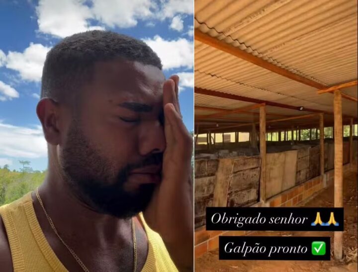 Davi Brito constrói galpão para criar galinhas e se emociona: ‘Muitos zombaram’