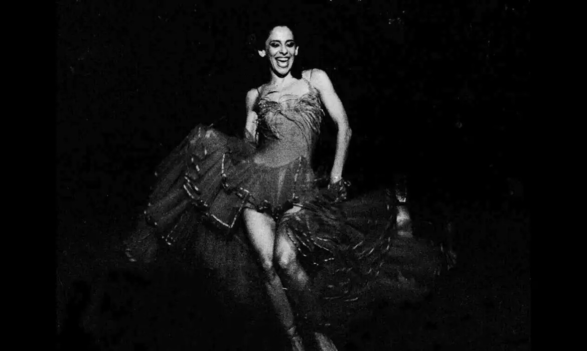 Exposição celebra cultura cearense e nordestina em Fortaleza