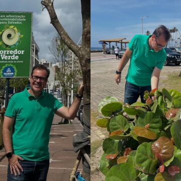Corredor Verde avança na orla de Salvador e mostra resultados positivos