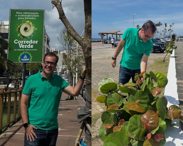 Corredor Verde avança na orla de Salvador e mostra resultados positivos