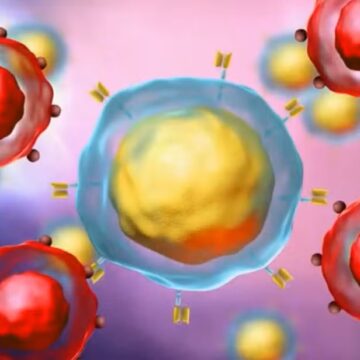 Terapia CAR-T 100% brasileira alcança 72% de remissão completa em cânceres do sangue