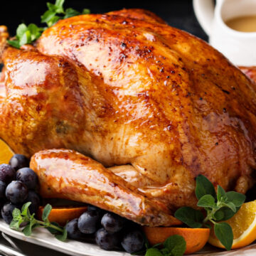 Como é um Chester vivo? Ave natalina popular no Brasil veio dos EUA