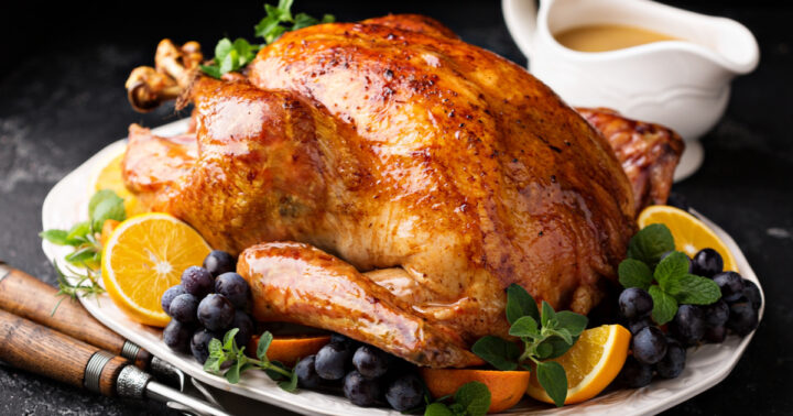 Como é um Chester vivo? Ave natalina popular no Brasil veio dos EUA