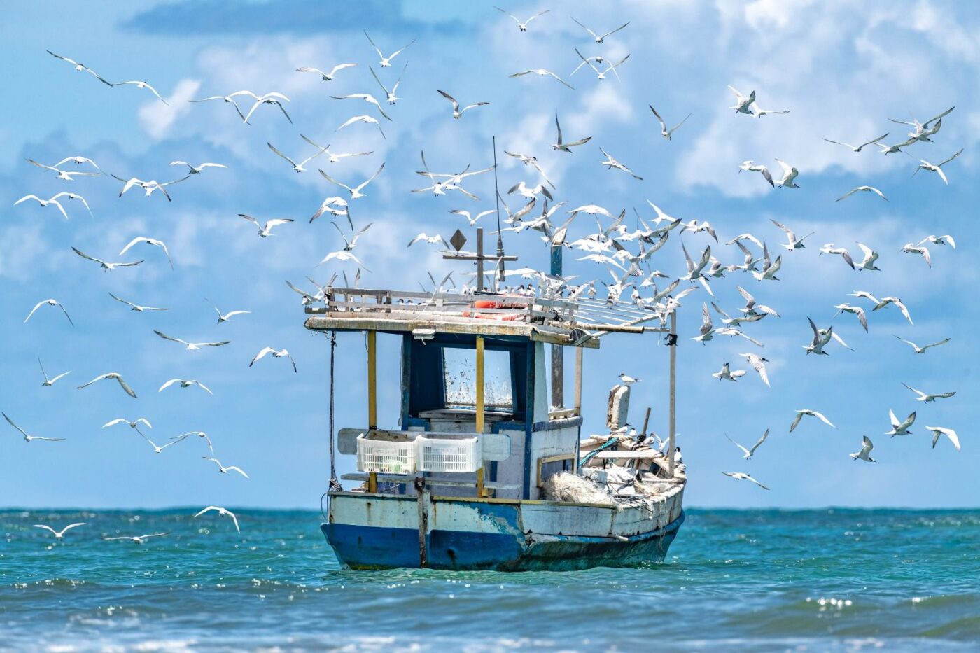 Premiado internacionalmente, Eduardo Moody lança livro de fotografias sobre Praia do Forte neste sábado