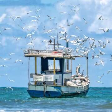 Premiado internacionalmente, Eduardo Moody lança livro de fotografias sobre Praia do Forte neste sábado