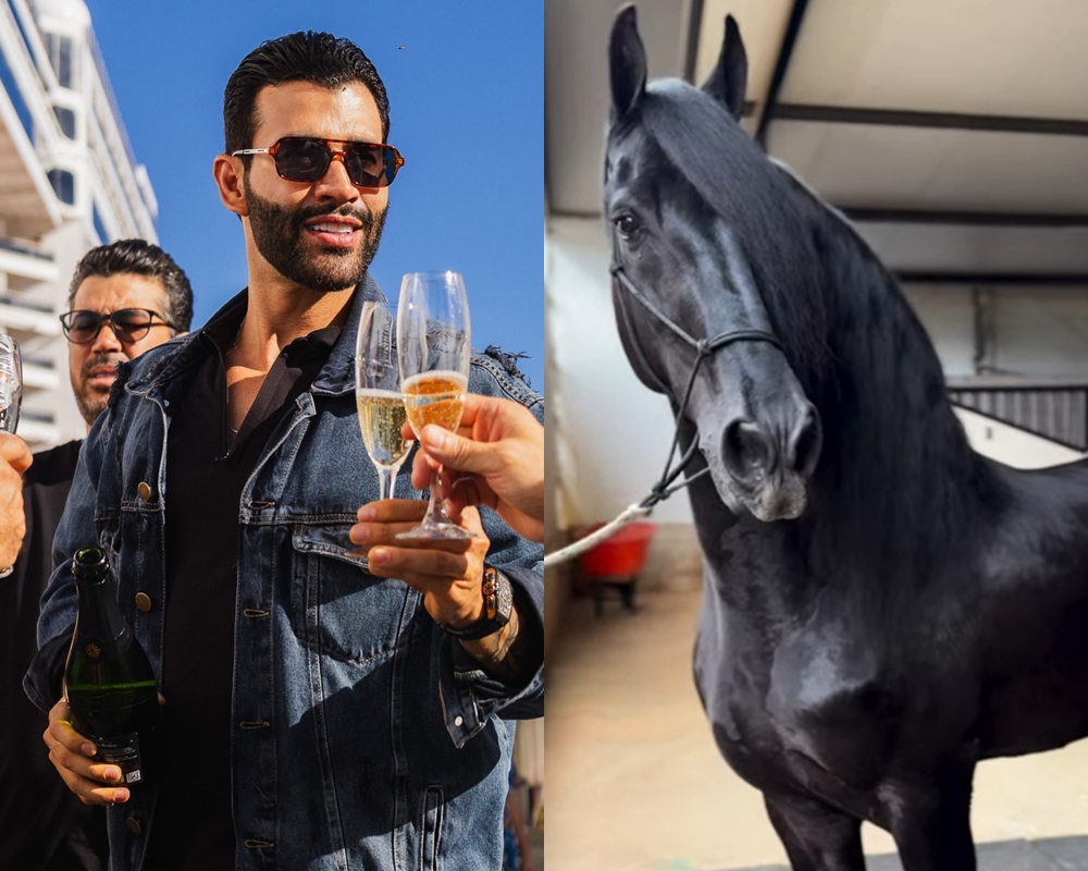 Gusttavo Lima ostenta cavalo importado que pode chegar a R$ 2,5 milhões