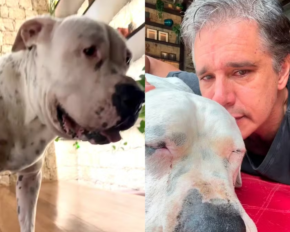 Marcio Garcia chora ao anunciar a morte de cão, diagnosticado com linfoma