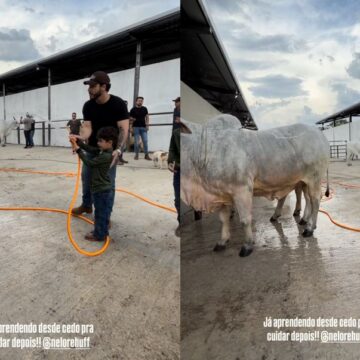 Filho de Murilo Huff e Marília Mendonça esbanja fofura ao cuidar de vaca: ‘Aprendendo desde cedo’
