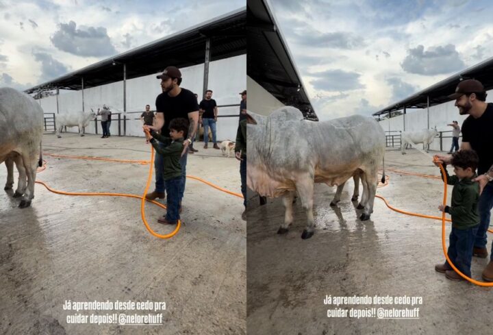 Filho de Murilo Huff e Marília Mendonça esbanja fofura ao cuidar de vaca: ‘Aprendendo desde cedo’