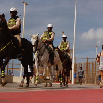 70 cavalos reforçam segurança em Salvador durante a Operação Verão 2025/26