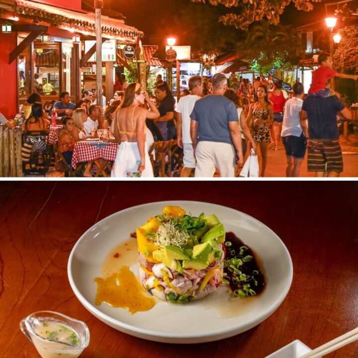 Festival Tempero no Forte divulga programação completa da 19ª edição; confira