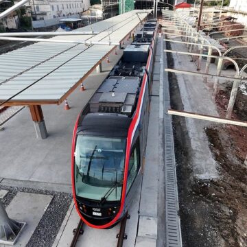 VLT de Salvador promove reflorestamento de manguezal do Subúrbio Ferroviário