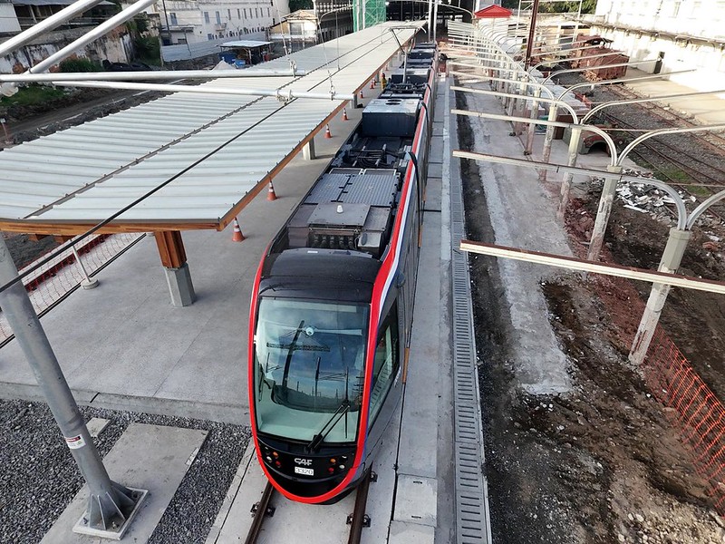 VLT de Salvador promove reflorestamento de manguezal do Subúrbio Ferroviário