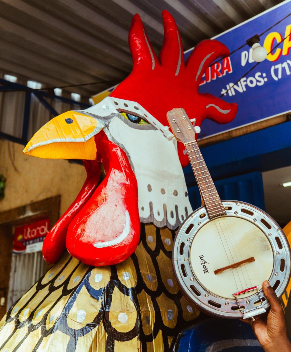 Banjo Novo estreia no Carnaval de Salvador no desfile do Bloco Alvorada