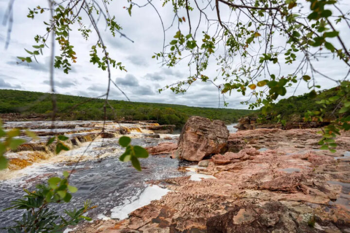 Governo encaminha proposta para reconhecimento da primeira Reserva da Biosfera 100% baiana