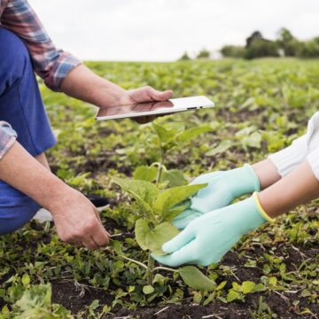 Agronegócio brasileiro quebra recorde histórico e exporta US$ 169 bilhões em 2025