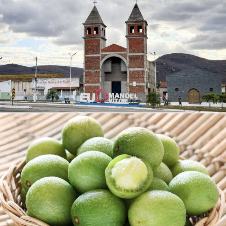 Cidade baiana pode ser reconhecida como Capital do Umbu; aos detalhes