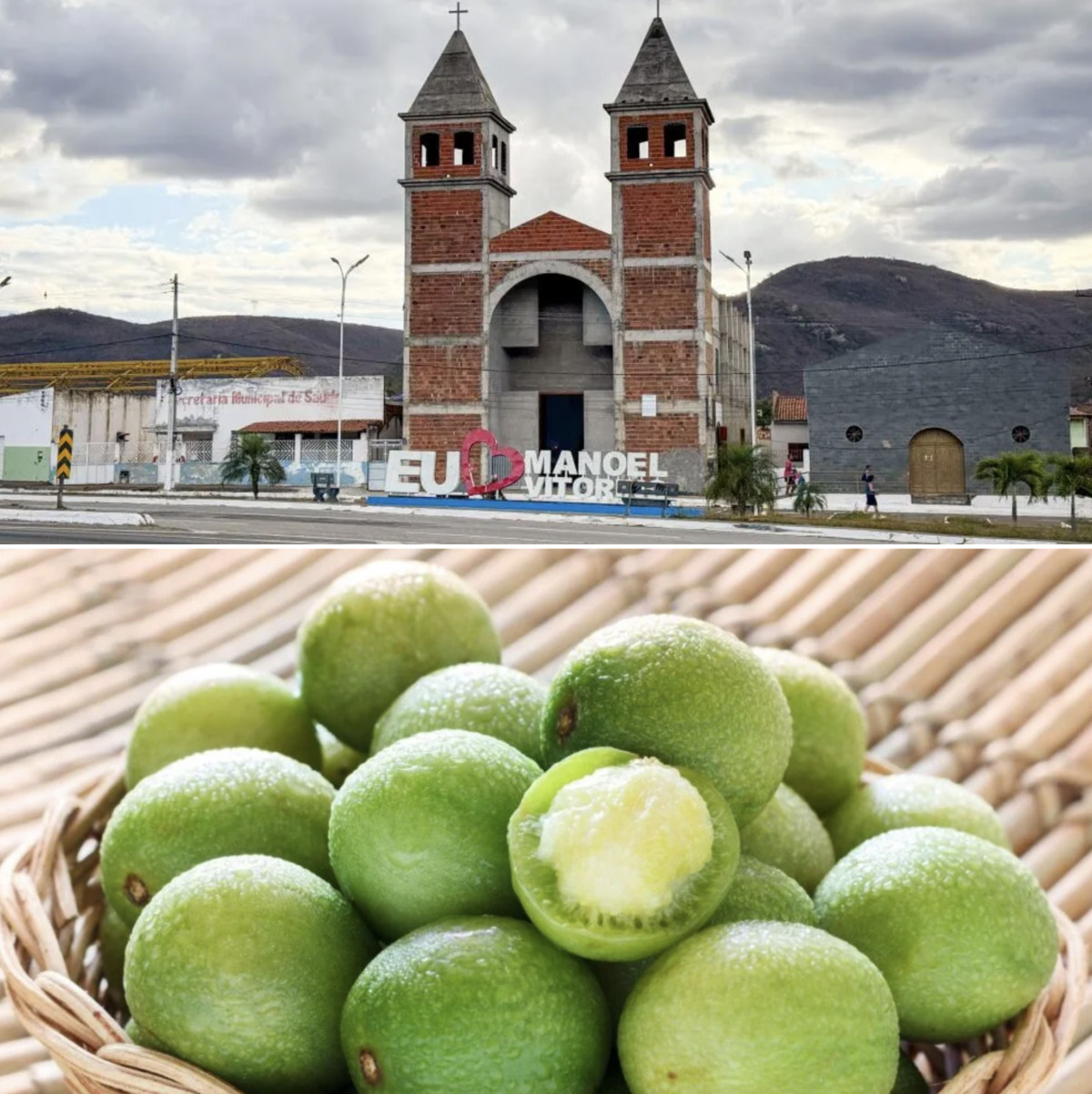 Cidade baiana pode ser reconhecida como Capital do Umbu; aos detalhes