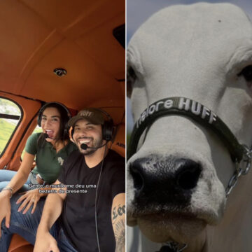 Murilo Huff presenteia a noiva com bezerra da vaca mais cara do mundo: ‘Chique’