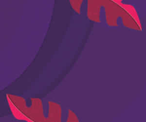 Camarote Villa – Lateral