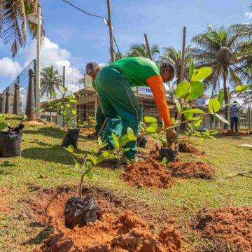 Salvador conquista destaque em ranking de cidades com melhores transparência climática e gestão ambiental