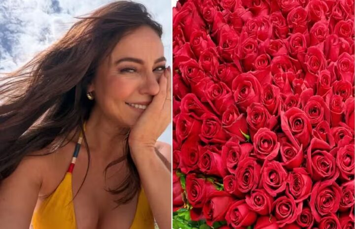 Paolla Oliveira recebe caminhão com rosas avaliadas em R$ 10 mil