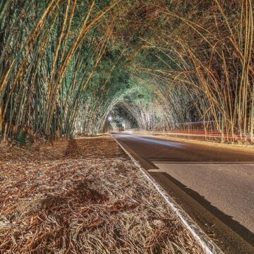 Aeroporto de Salvador bate recorde e registra maior movimento desde 2018