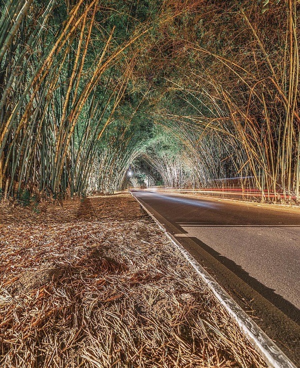 Aeroporto de Salvador bate recorde e registra maior movimento desde 2018