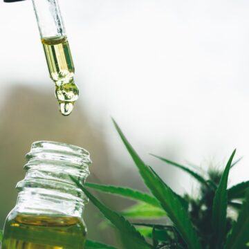 Anvisa amplia o uso da cannabis medicinal no Brasil