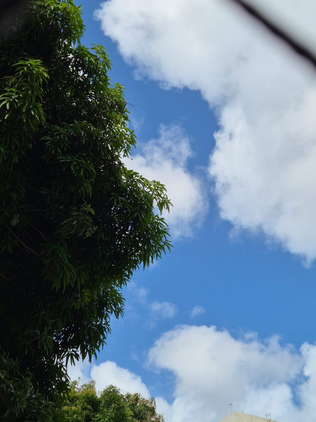 Fim de semana em Salvador tem previsão de chuva e altas temperaturas