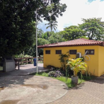 Atendimento psicológico gratuito: Projeto Curare é retomado em Salvador