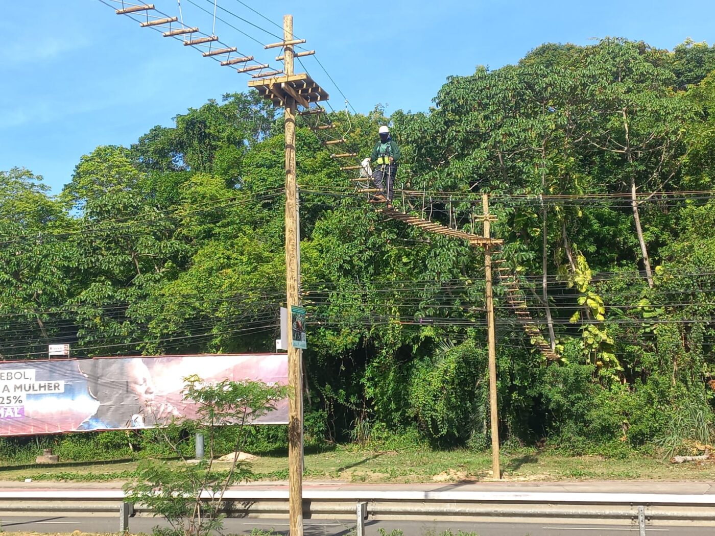 Prefeitura inaugura passagem de fauna na Avenida Pinto de Aguiar para reduzir atropelamentos