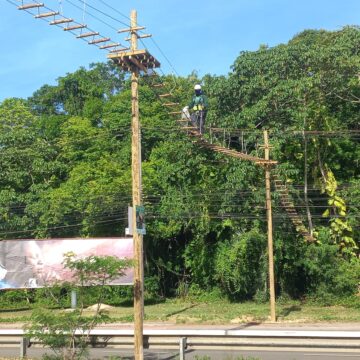 Prefeitura inaugura passagem de fauna na Avenida Pinto de Aguiar para reduzir atropelamentos