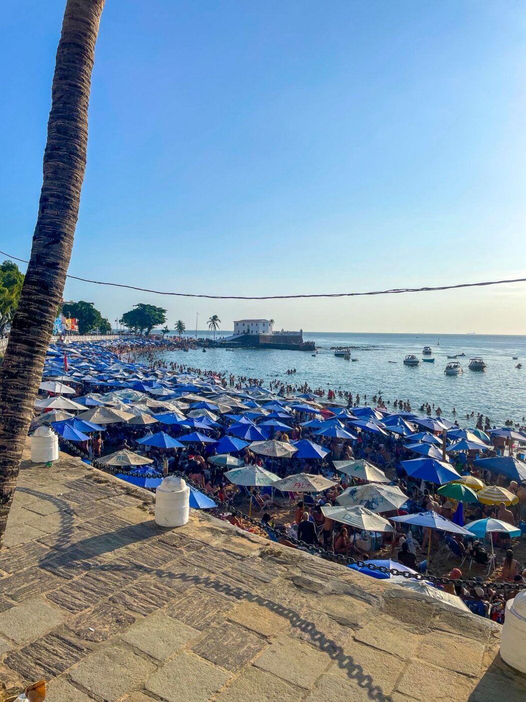 Verão bombando: Porto da Barra fica lotado na primeira sexta-feira de 2026