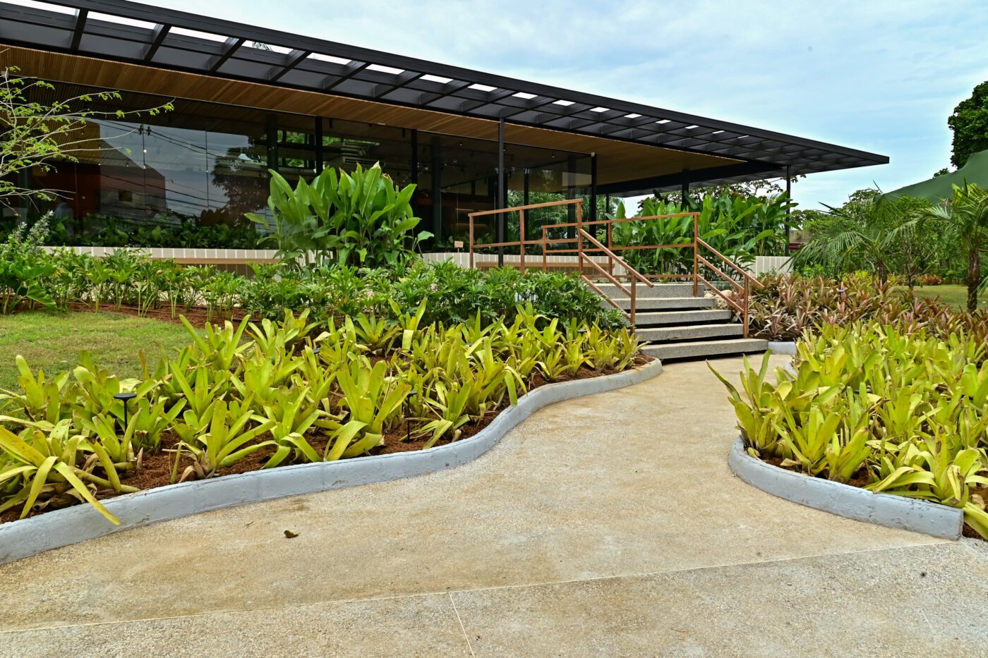 Bosque Caminho das Árvores