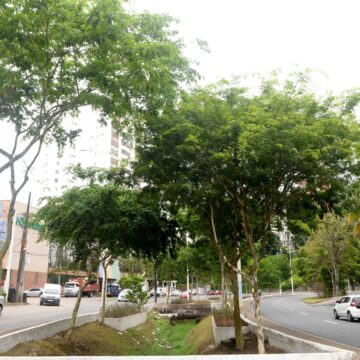 Com investimentos em áreas verdes, Prefeitura amplia arborização de ruas e avenidas em Salvador